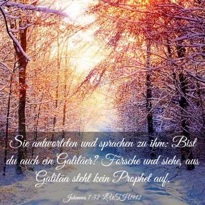 Picture 03 - Johannes 7:52 LUTH1912 - Sie antworteten und sprachen zu ihm: Bist du auch - Bible Verse Picture