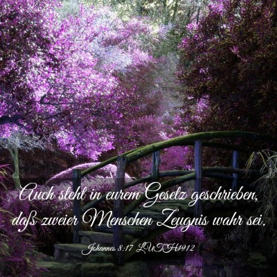Picture 03 - Johannes 8:17 LUTH1912 - Auch steht in eurem Gesetz geschrieben, daß - Bible Verse Picture