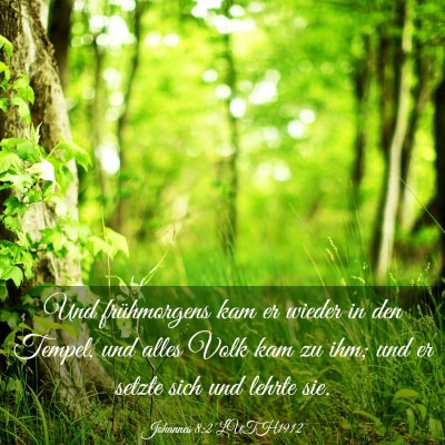 Picture 03 - Johannes 8:2 LUTH1912 - Und frühmorgens kam er wieder in den Tempel, und - Bible Verse Picture