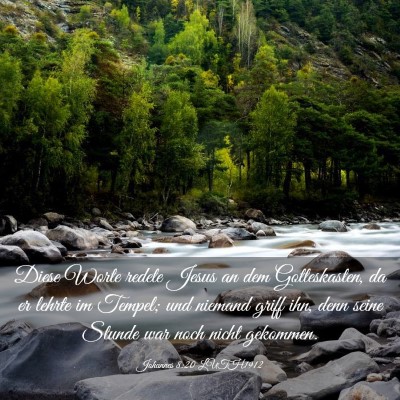 Picture 03 - Johannes 8:20 LUTH1912 - Diese Worte redete Jesus an dem Gotteskasten, da - Bible Verse Picture