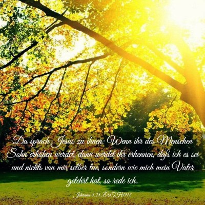 Picture 03 - Johannes 8:28 LUTH1912 - Da sprach Jesus zu ihnen: Wenn ihr des Menschen - Bible Verse Picture