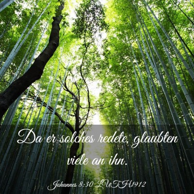 Picture 03 - Johannes 8:30 LUTH1912 - Da er solches redete, glaubten viele an - Bible Verse Picture