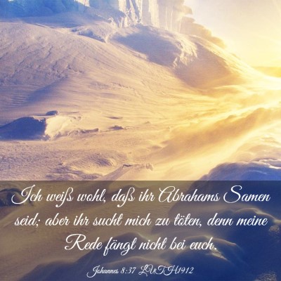 Picture 03 - Johannes 8:37 LUTH1912 - Ich weiß wohl, daß ihr Abrahams Samen seid; - Bible Verse Picture