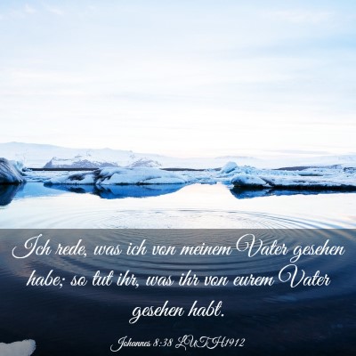 Picture 03 - Johannes 8:38 LUTH1912 - Ich rede, was ich von meinem Vater gesehen habe; - Bible Verse Picture