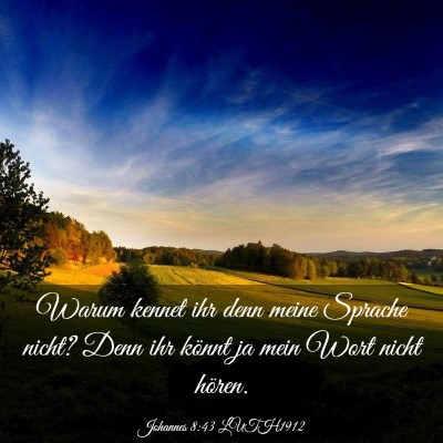 Picture 03 - Johannes 8:43 LUTH1912 - Warum kennet ihr denn meine Sprache nicht? Denn - Bible Verse Picture