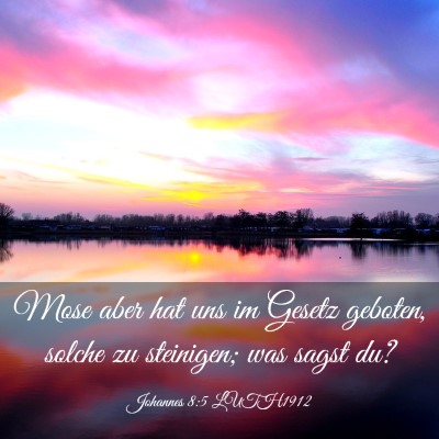 Picture 03 - Johannes 8:5 LUTH1912 - Mose aber hat uns im Gesetz geboten, solche zu - Bible Verse Picture