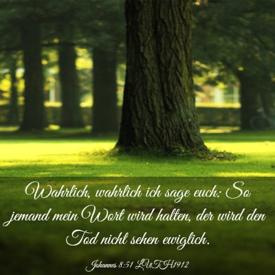 Picture 03 - Johannes 8:51 LUTH1912 - Wahrlich, wahrlich ich sage euch: So jemand mein - Bible Verse Picture