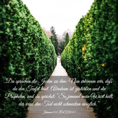 Picture 03 - Johannes 8:52 LUTH1912 - Da sprachen die Juden zu ihm: Nun erkennen wir, - Bible Verse Picture