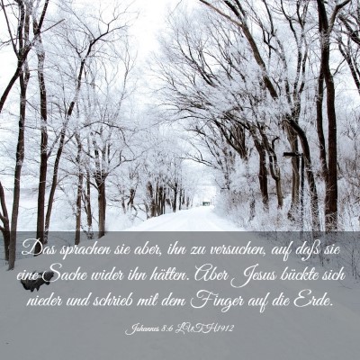 Picture 03 - Johannes 8:6 LUTH1912 - Das sprachen sie aber, ihn zu versuchen, auf daß - Bible Verse Picture
