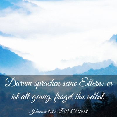 Picture 03 - Johannes 9:23 LUTH1912 - Darum sprachen seine Eltern: er ist alt genug, - Bible Verse Picture