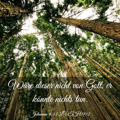 Picture 03 - Johannes 9:33 LUTH1912 - Wäre dieser nicht von Gott, er könnte nichts - Bible Verse Picture