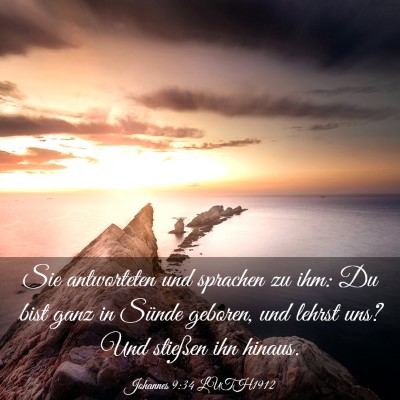 Picture 03 - Johannes 9:34 LUTH1912 - Sie antworteten und sprachen zu ihm: Du bist ganz - Bible Verse Picture