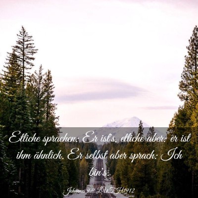 Picture 03 - Johannes 9:9 LUTH1912 - Etliche sprachen: Er ist's, etliche aber: er ist - Bible Verse Picture