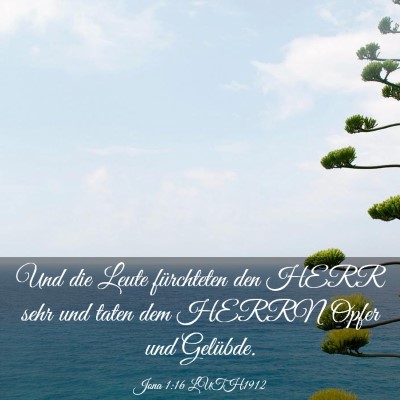 Picture 03 - Jona 1:16 LUTH1912 - Und die Leute fürchteten den HERR sehr und taten - Bible Verse Picture