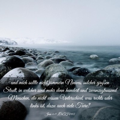 Picture 03 - Jona 4:11 LUTH1912 - und mich sollte nicht jammern Ninives, solcher - Bible Verse Picture