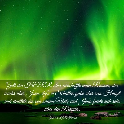Picture 03 - Jona 4:6 LUTH1912 - Gott der HERR aber verschaffte einen Rizinus, der - Bible Verse Picture