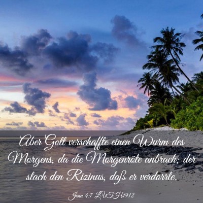 Picture 03 - Jona 4:7 LUTH1912 - Aber Gott verschaffte einen Wurm des Morgens, da - Bible Verse Picture