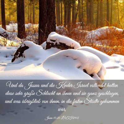 Picture 03 - Josua 10:20 LUTH1912 - Und da Josua und die Kinder Israel vollendet - Bible Verse Picture