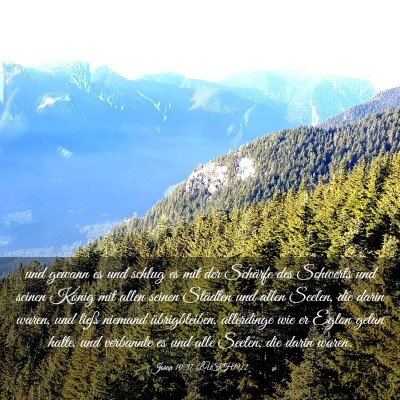 Picture 03 - Josua 10:37 LUTH1912 - und gewann es und schlug es mit der Schärfe des - Bible Verse Picture