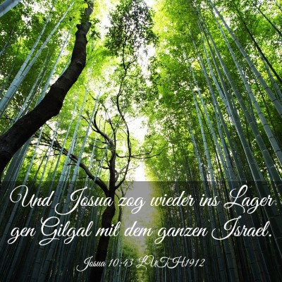 Picture 03 - Josua 10:43 LUTH1912 - Und Josua zog wieder ins Lager gen Gilgal mit dem - Bible Verse Picture