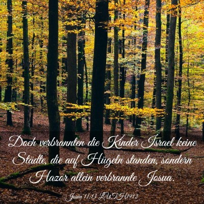 Picture 03 - Josua 11:13 LUTH1912 - Doch verbrannten die Kinder Israel keine Städte, - Bible Verse Picture