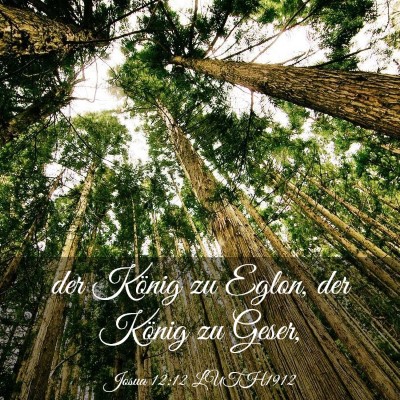 Picture 03 - Josua 12:12 LUTH1912 - der König zu Eglon, der König zu - Bible Verse Picture