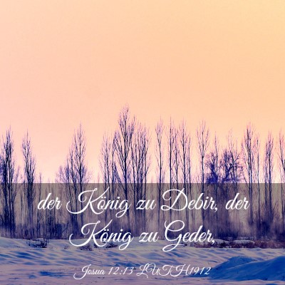 Picture 03 - Josua 12:13 LUTH1912 - der König zu Debir, der König zu - Bible Verse Picture