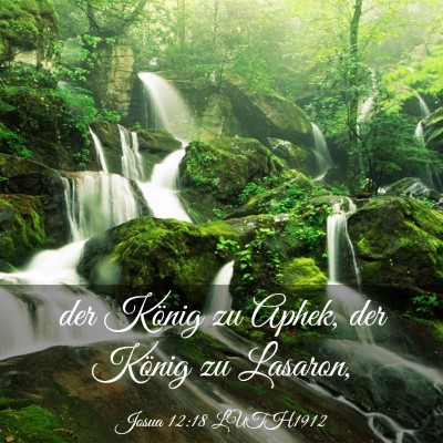 Picture 03 - Josua 12:18 LUTH1912 - der König zu Aphek, der König zu - Bible Verse Picture