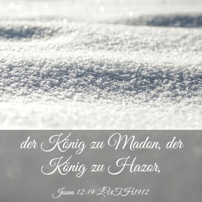 Picture 03 - Josua 12:19 LUTH1912 - der König zu Madon, der König zu - Bible Verse Picture