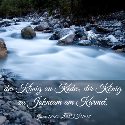 Picture 03 - Josua 12:22 LUTH1912 - der König zu Kedes, der König zu Jokneam am - Bible Verse Picture