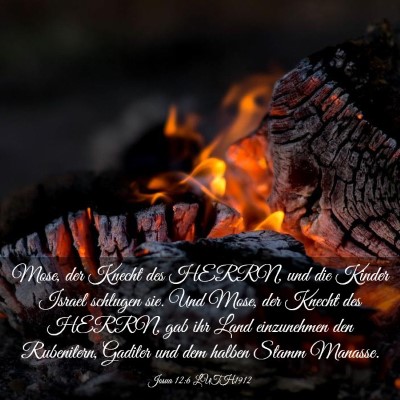 Picture 03 - Josua 12:6 LUTH1912 - Mose, der Knecht des HERRN, und die Kinder Israel - Bible Verse Picture