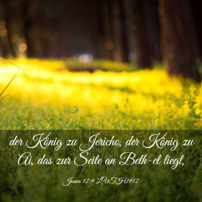 Picture 03 - Josua 12:9 LUTH1912 - der König zu Jericho, der König zu Ai, das zur - Bible Verse Picture