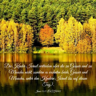 Picture 03 - Josua 13:13 LUTH1912 - Die Kinder Israel vertrieben aber die zu Gessur - Bible Verse Picture