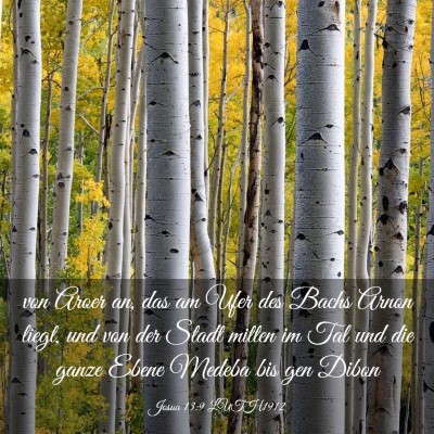 Picture 03 - Josua 13:9 LUTH1912 - von Aroer an, das am Ufer des Bachs Arnon liegt, - Bible Verse Picture