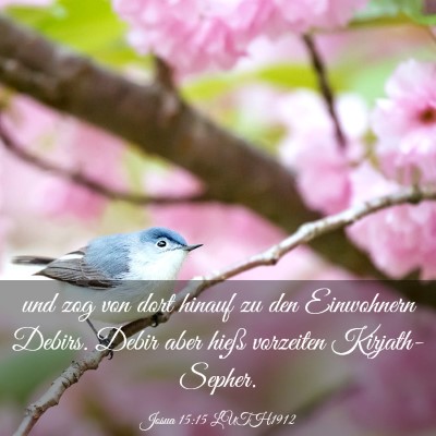 Picture 03 - Josua 15:15 LUTH1912 - und zog von dort hinauf zu den Einwohnern Debirs. - Bible Verse Picture