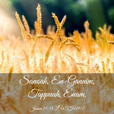 Picture 03 - Josua 15:34 LUTH1912 - Sanoah, En-Gannim, Tappuah, - Bible Verse Picture