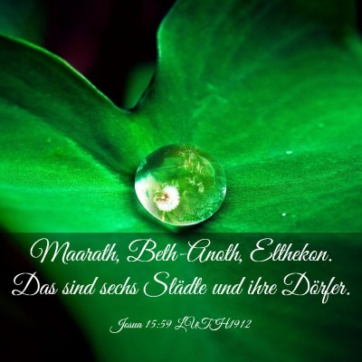 Picture 03 - Josua 15:59 LUTH1912 - Maarath, Beth-Anoth, Elthekon. Das sind sechs - Bible Verse Picture