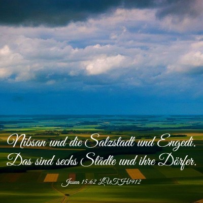 Picture 03 - Josua 15:62 LUTH1912 - Nibsan und die Salzstadt und Engedi. Das sind - Bible Verse Picture
