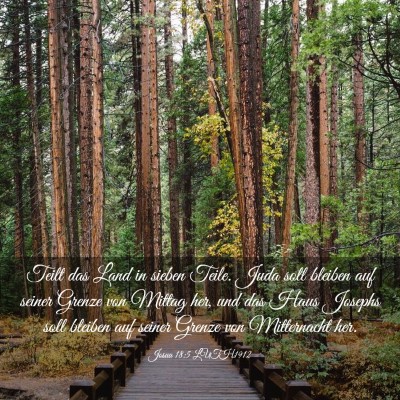 Picture 03 - Josua 18:5 LUTH1912 - Teilt das Land in sieben Teile. Juda soll bleiben - Bible Verse Picture