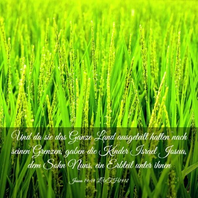 Picture 03 - Josua 19:49 LUTH1912 - Und da sie das Ganze Land ausgeteilt hatten nach - Bible Verse Picture
