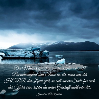 Picture 03 - Josua 2:14 LUTH1912 - Die Männer sprachen zu ihr: Tun wir nicht - Bible Verse Picture
