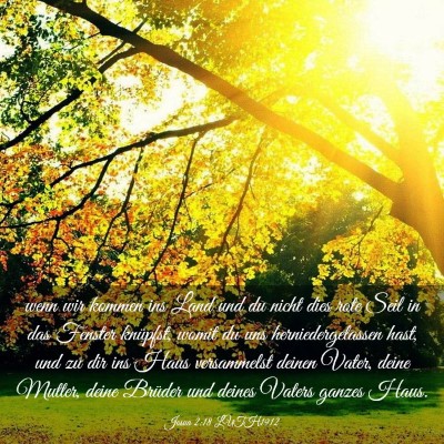 Picture 03 - Josua 2:18 LUTH1912 - wenn wir kommen ins Land und du nicht dies rote - Bible Verse Picture