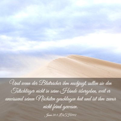 Picture 03 - Josua 20:5 LUTH1912 - Und wenn der Bluträcher ihm nachjagt, sollen sie - Bible Verse Picture