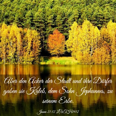 Picture 03 - Josua 21:12 LUTH1912 - Aber den Acker der Stadt und ihre Dörfer gaben - Bible Verse Picture