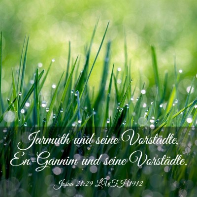 Picture 03 - Josua 21:29 LUTH1912 - Jarmuth und seine Vorstädte, En-Gannim und seine - Bible Verse Picture