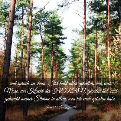 Picture 03 - Josua 22:2 LUTH1912 - und sprach zu ihnen: Ihr habt alles gehalten, was - Bible Verse Picture