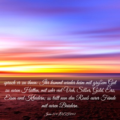 Picture 03 - Josua 22:8 LUTH1912 - sprach er zu ihnen: Ihr kommt wieder heim mit - Bible Verse Picture
