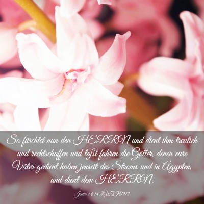Picture 03 - Josua 24:14 LUTH1912 - So fürchtet nun den HERRN und dient ihm treulich - Bible Verse Picture