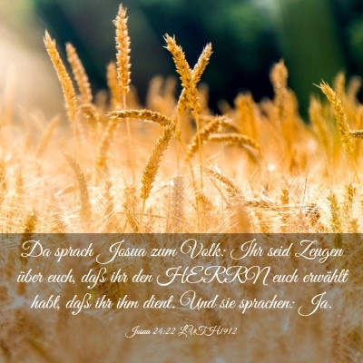 Picture 03 - Josua 24:22 LUTH1912 - Da sprach Josua zum Volk: Ihr seid Zeugen über - Bible Verse Picture