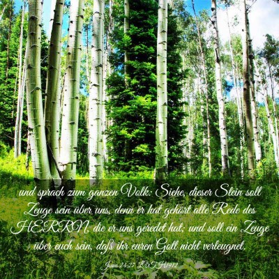 Picture 03 - Josua 24:27 LUTH1912 - und sprach zum ganzen Volk: Siehe, dieser Stein - Bible Verse Picture